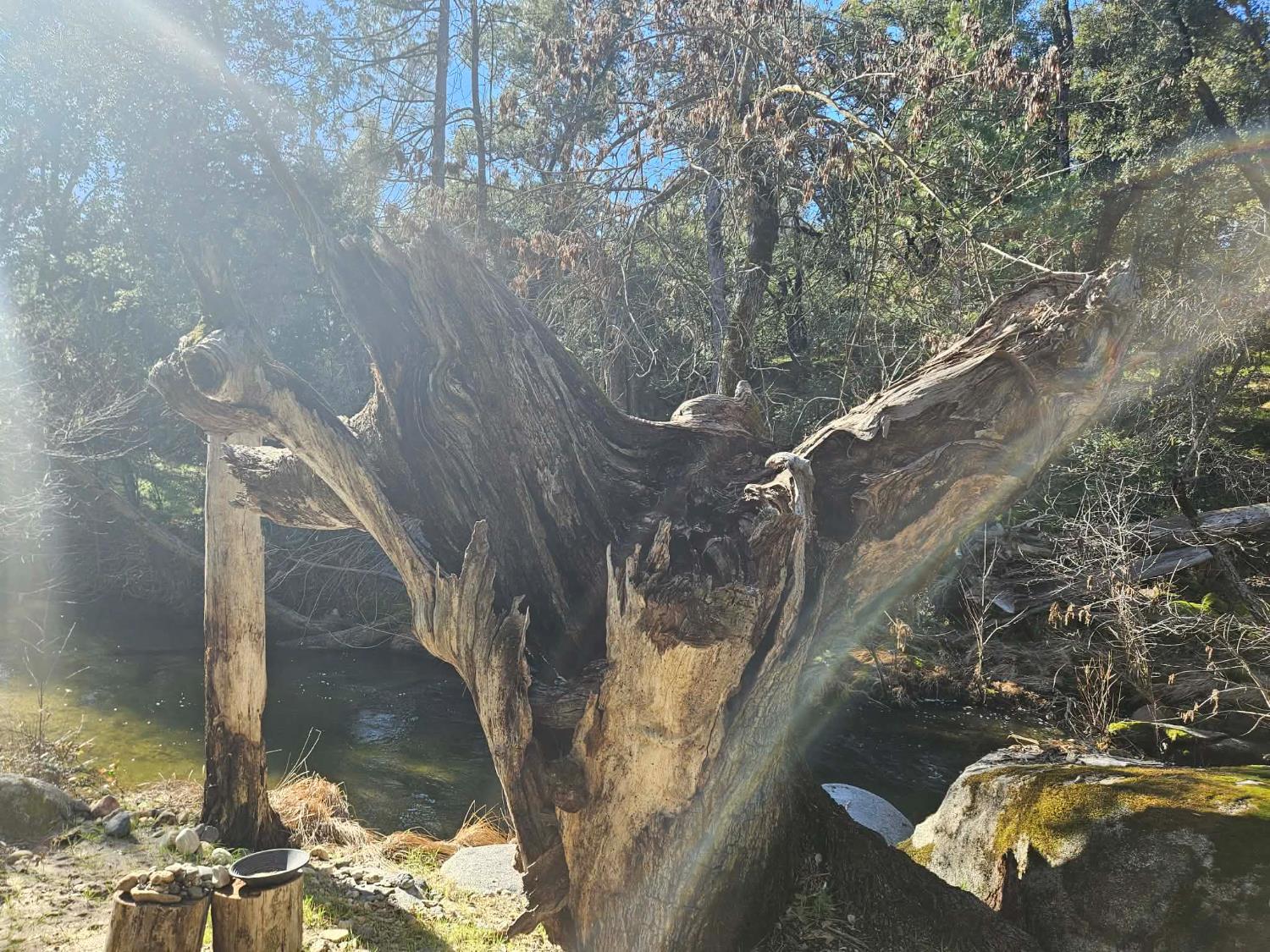 59366 Road 225, North Fork, CA 93643