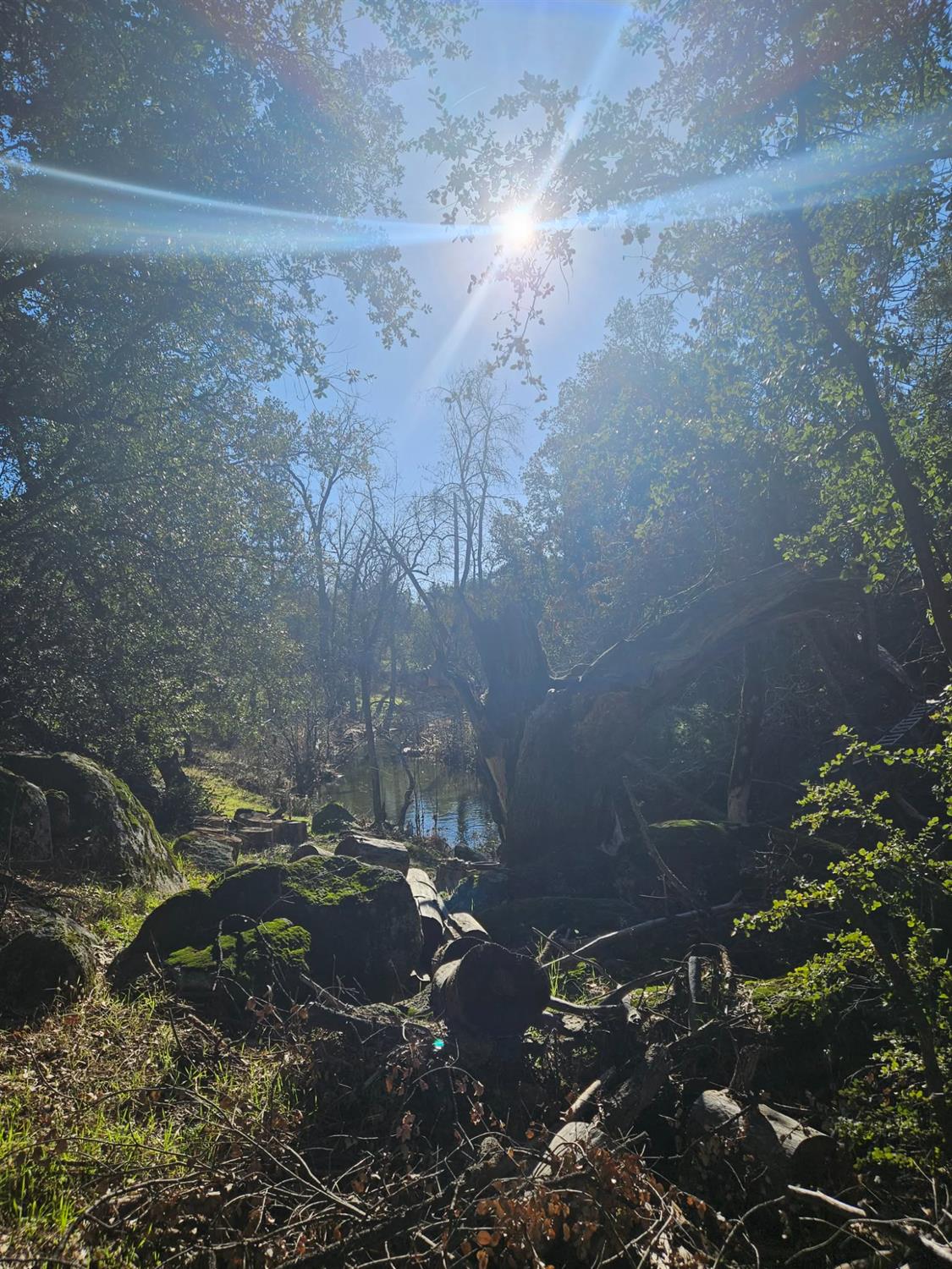 59366 Road 225, North Fork, CA 93643