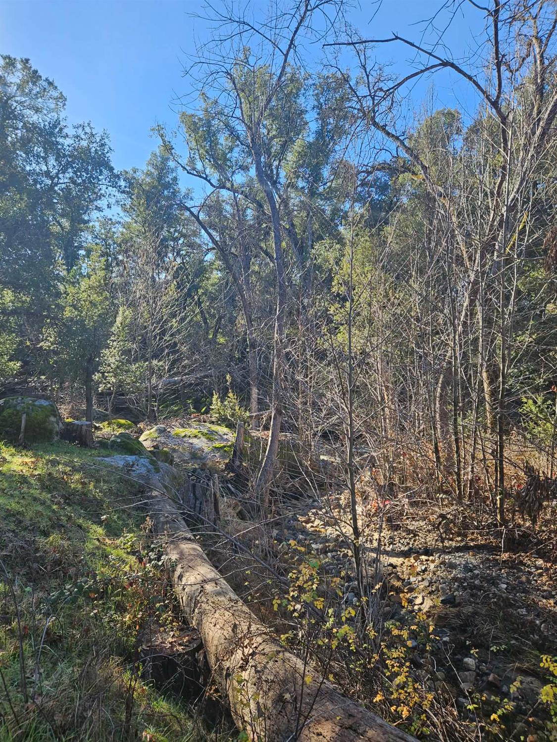 59366 Road 225, North Fork, CA 93643