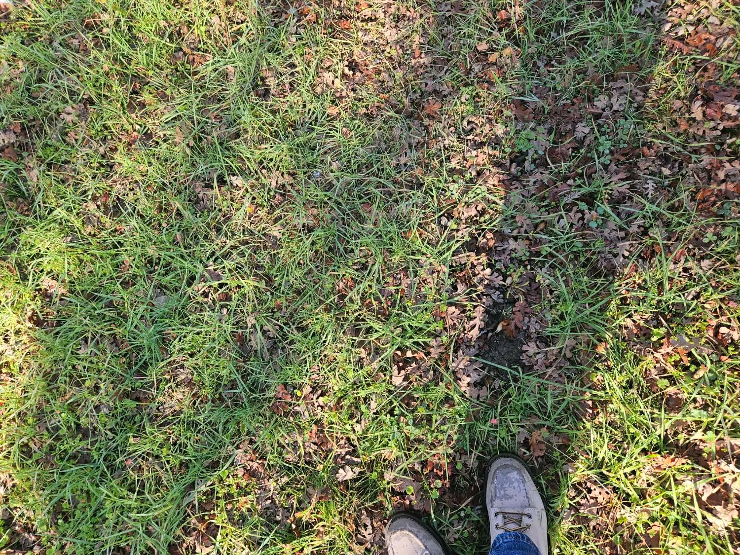 59366 Road 225, North Fork, CA 93643