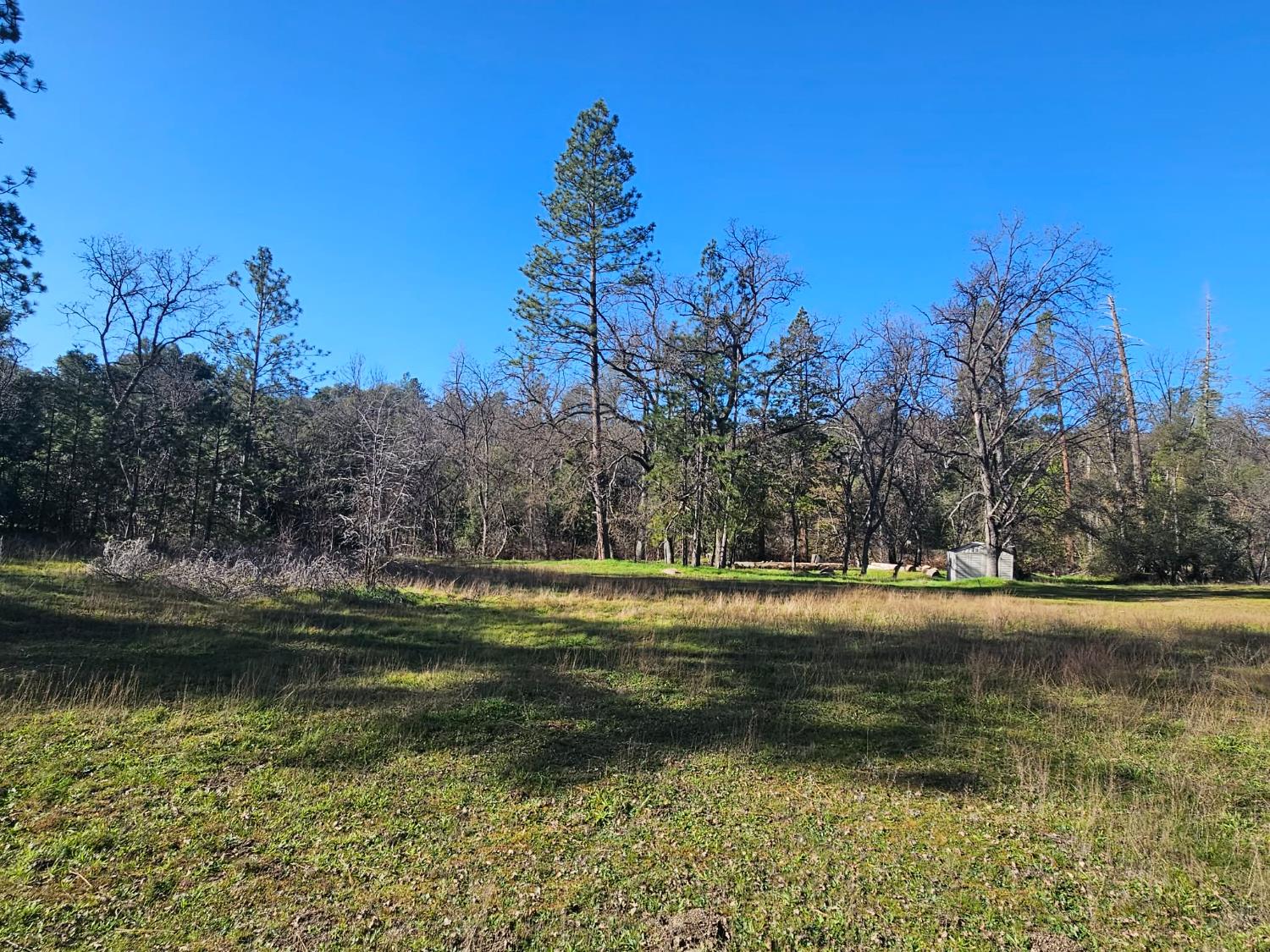 59366 Road 225, North Fork, CA 93643