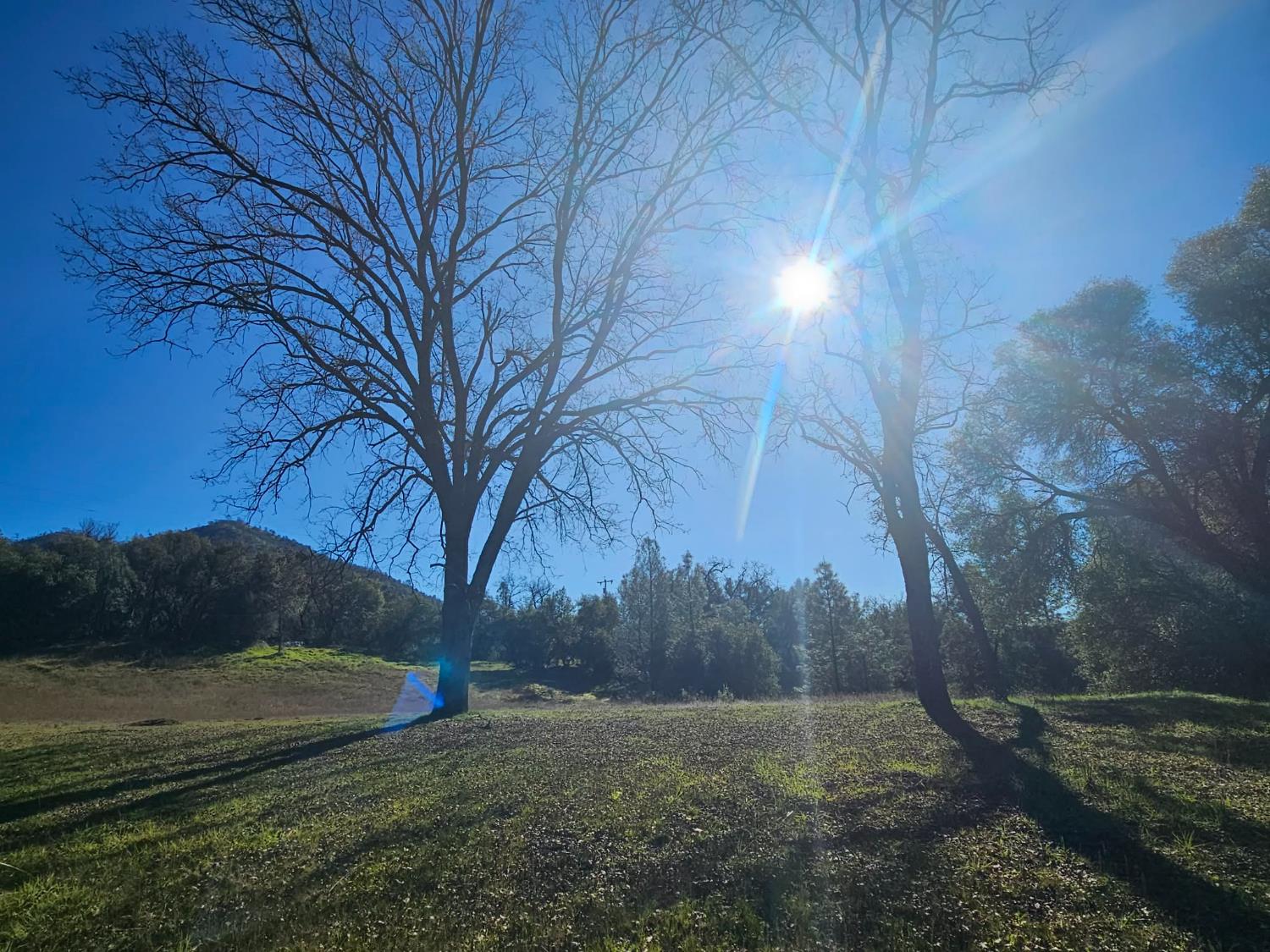 59366 Road 225, North Fork, CA 93643