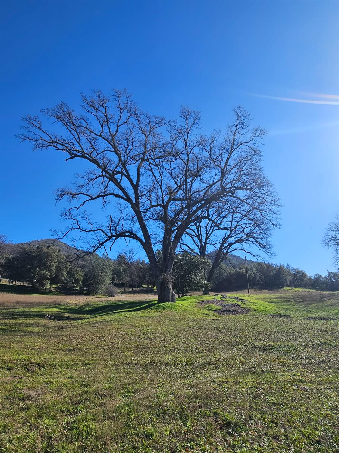 59366 Road 225, North Fork, CA 93643