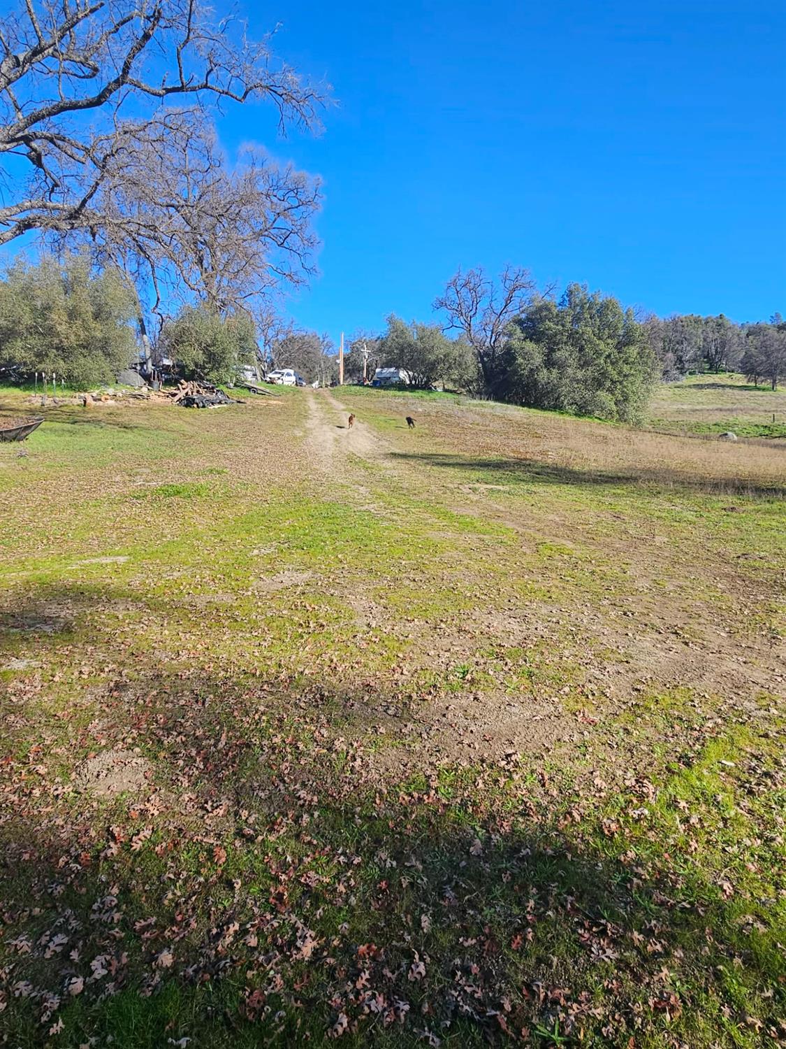 59366 Road 225, North Fork, CA 93643