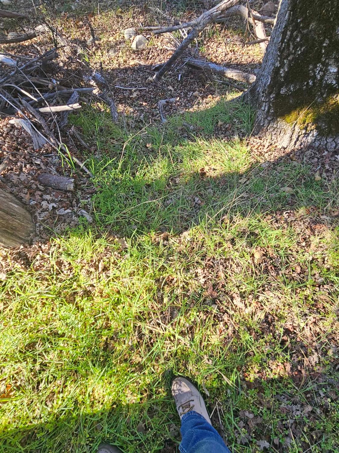 59366 Road 225, North Fork, CA 93643