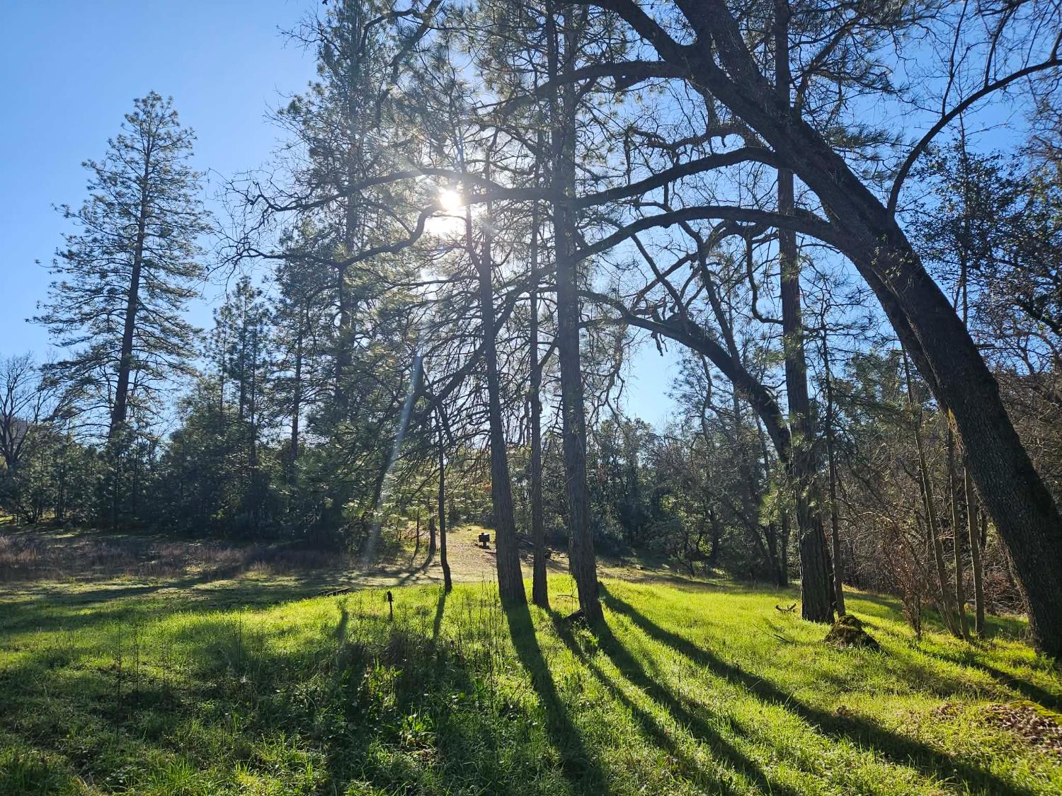 59366 Road 225, North Fork, CA 93643