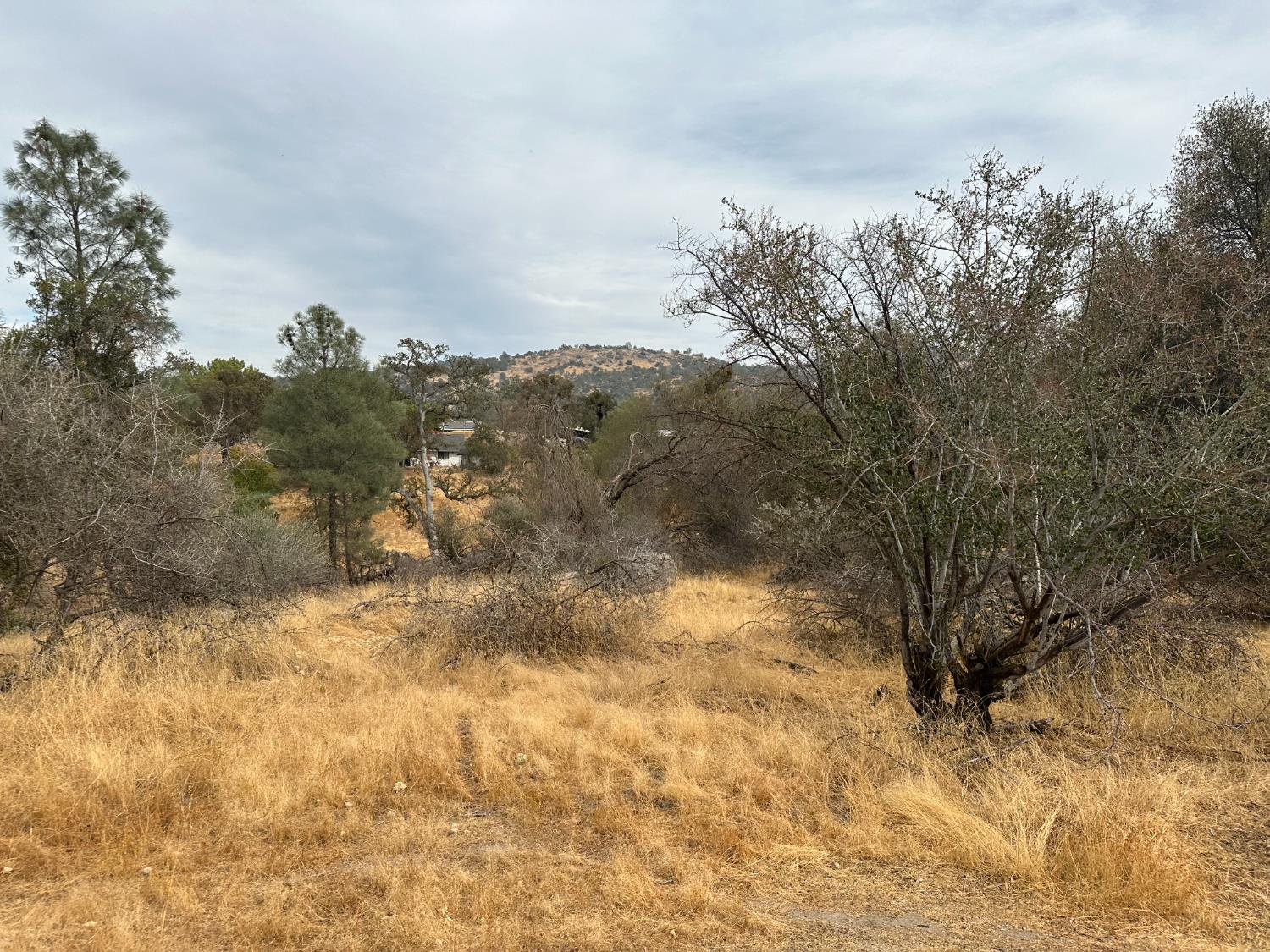 0 Lot 880 Jim Bowie Ct, Coarsegold, CA 93614