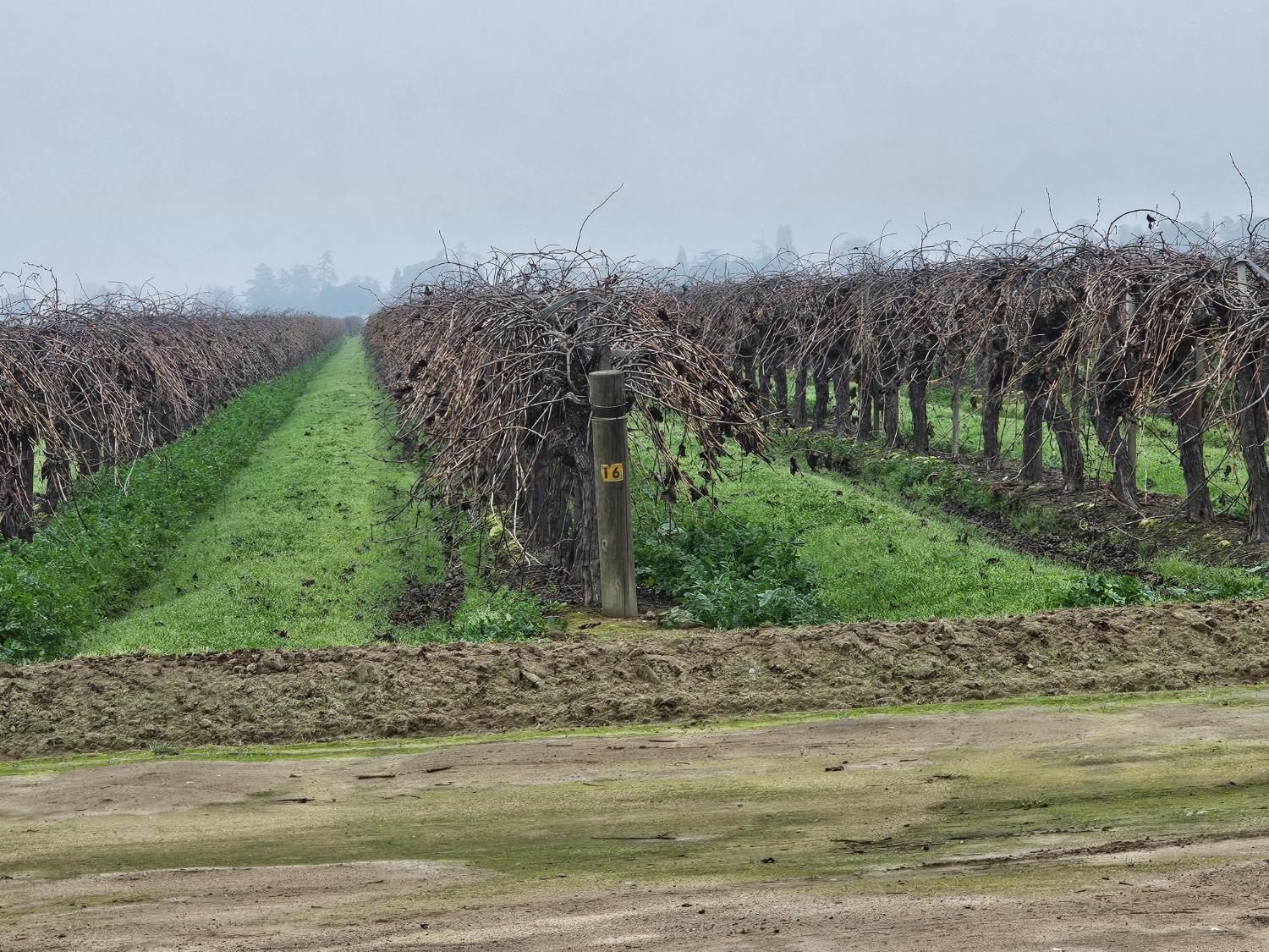 200 S Hayes Ave, Fresno, CA 93723