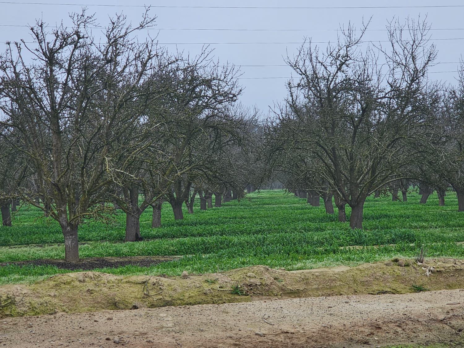 200 S Hayes Ave, Fresno, CA 93723