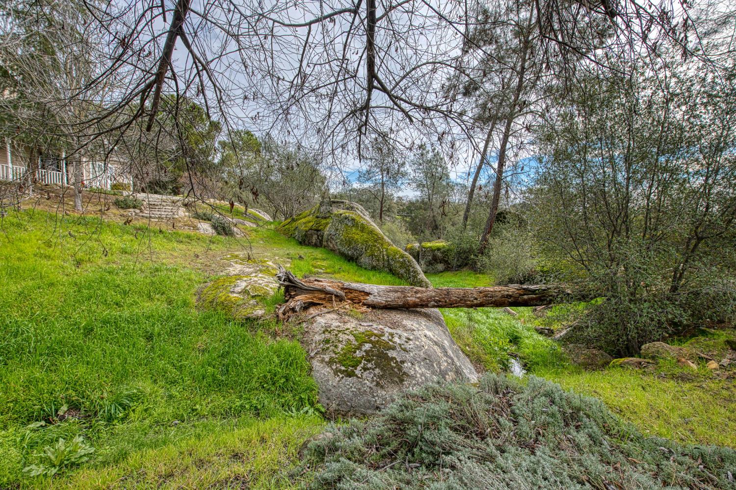 41961 Long Hollow Dr, Coarsegold, CA 93614