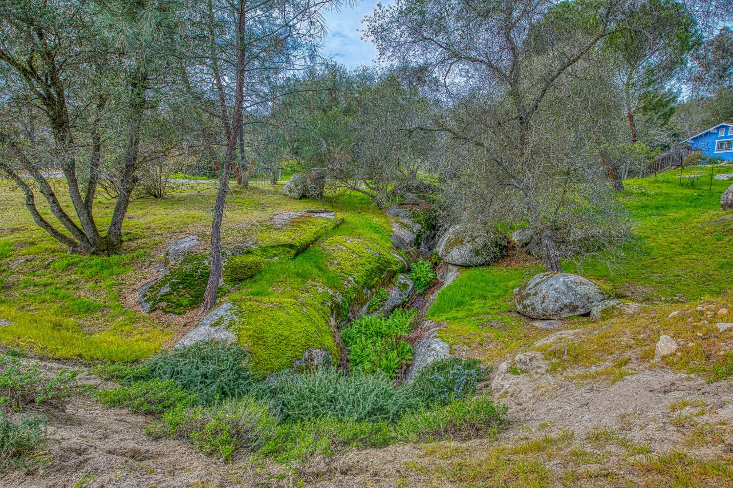 41961 Long Hollow Dr, Coarsegold, CA 93614