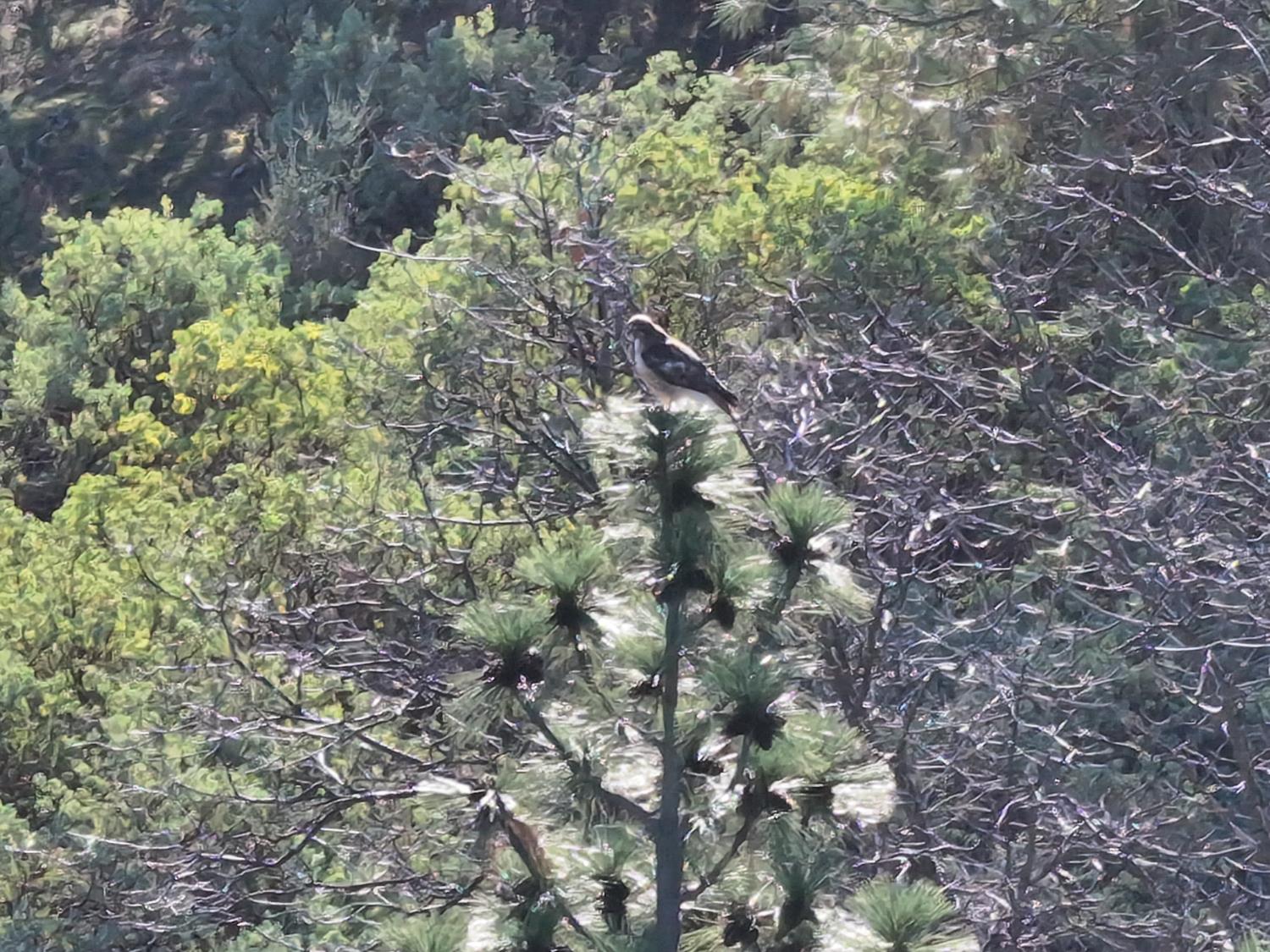 33219 Road 230, North Fork, CA 93643