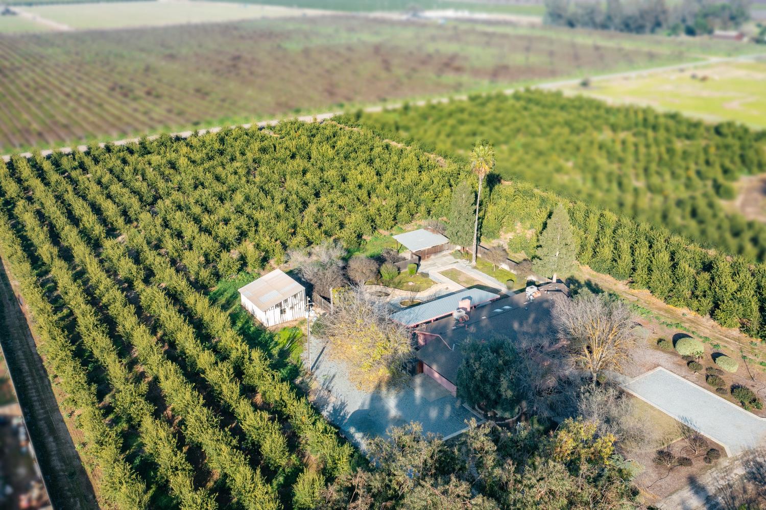 19282 E South Ave, Reedley, CA 93654