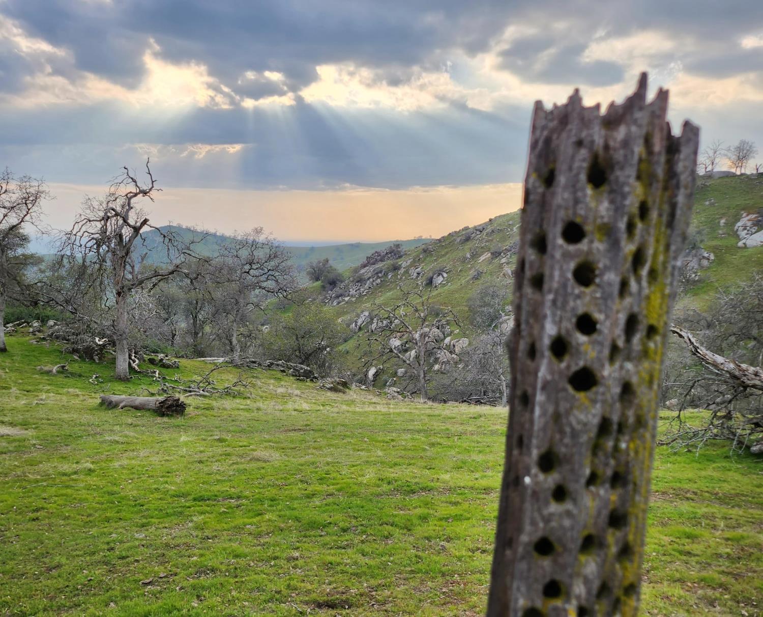 31602 Tumbleweed Ln, Yokuts Valley, CA 93675