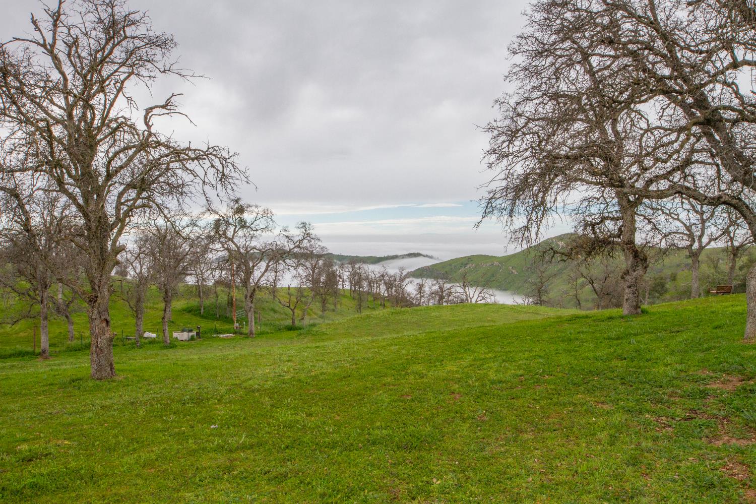 31602 Tumbleweed Ln, Yokuts Valley, CA 93675