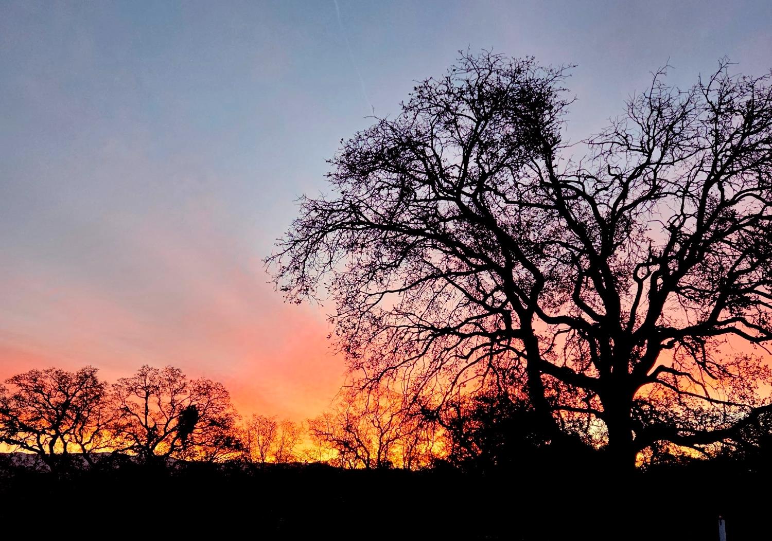 31602 Tumbleweed Ln, Yokuts Valley, CA 93675