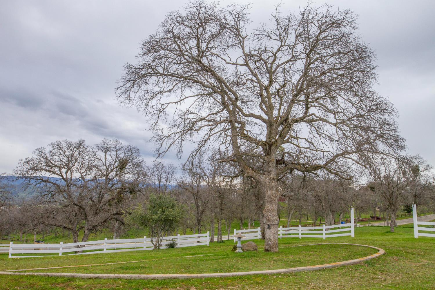 31602 Tumbleweed Ln, Yokuts Valley, CA 93675