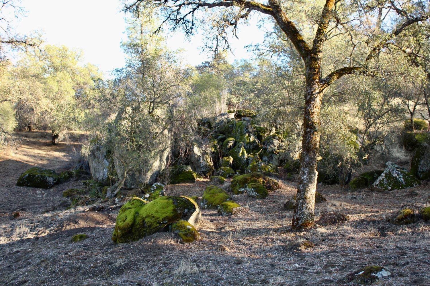 92 Road 400, Coarsegold, CA 93614