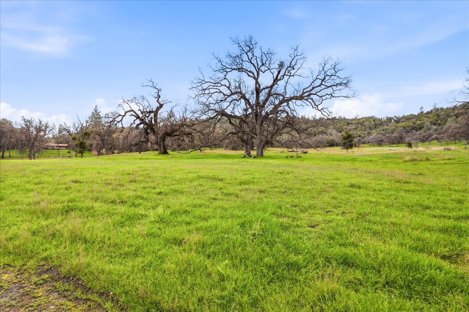 4767 Morning Star Ln, Mariposa, CA 95338