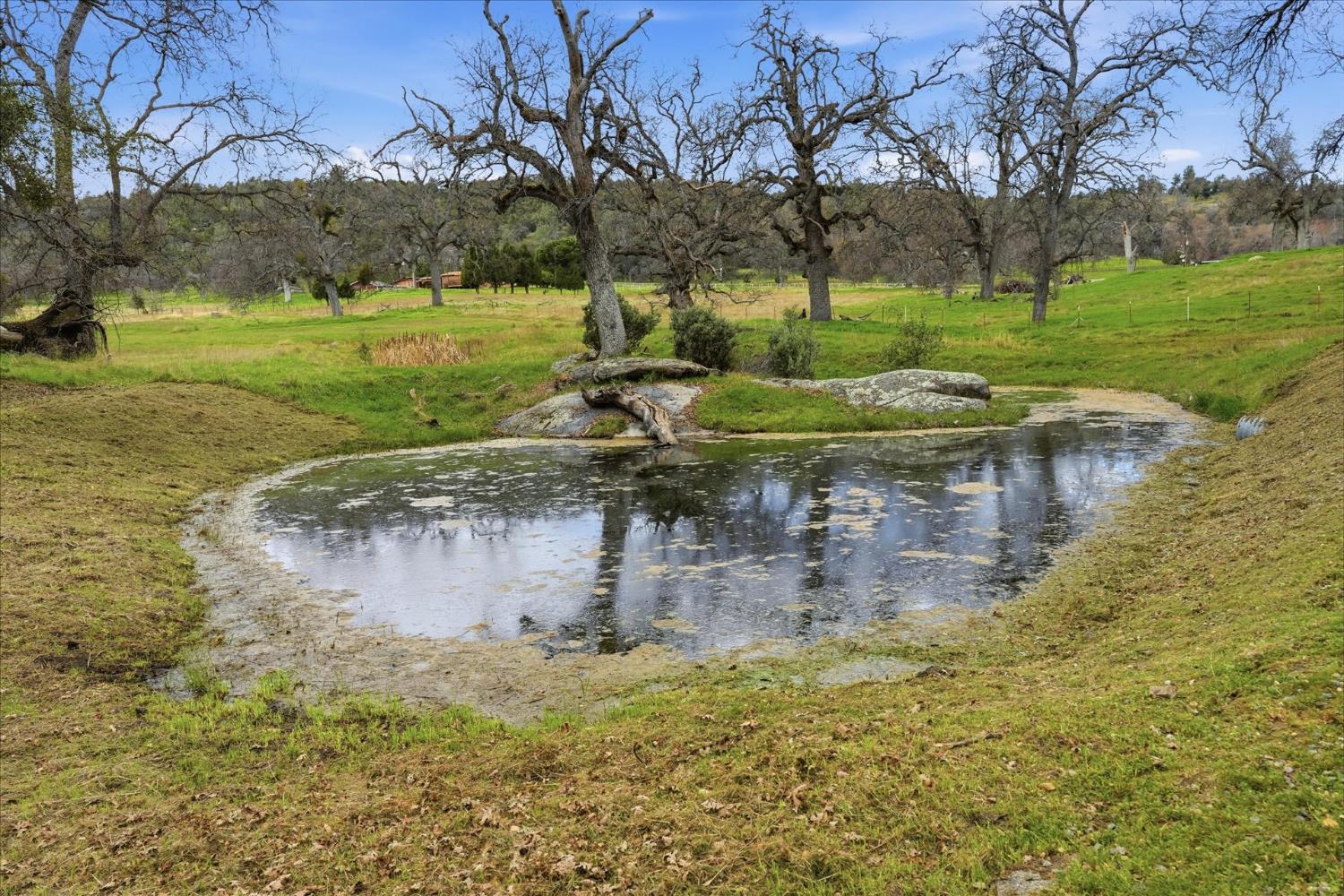 4767 Morning Star Ln, Mariposa, CA 95338