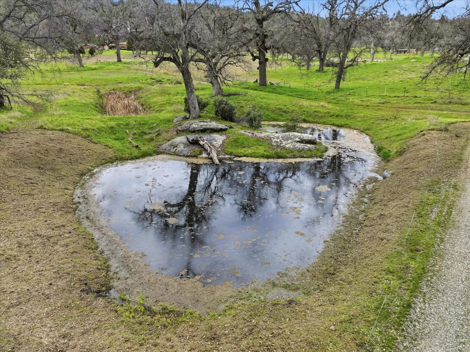 4767 Morning Star Ln, Mariposa, CA 95338