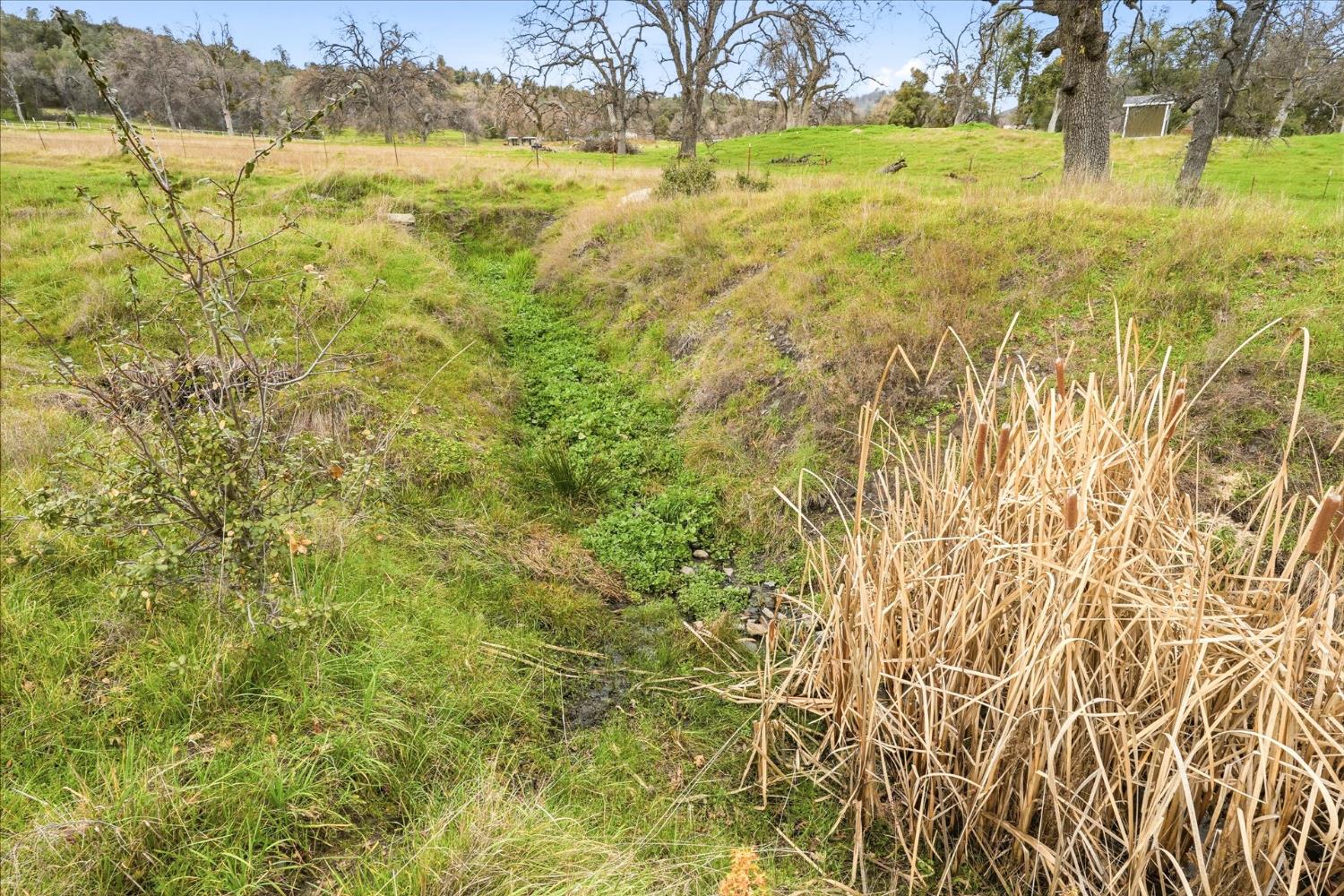 4767 Morning Star Ln, Mariposa, CA 95338