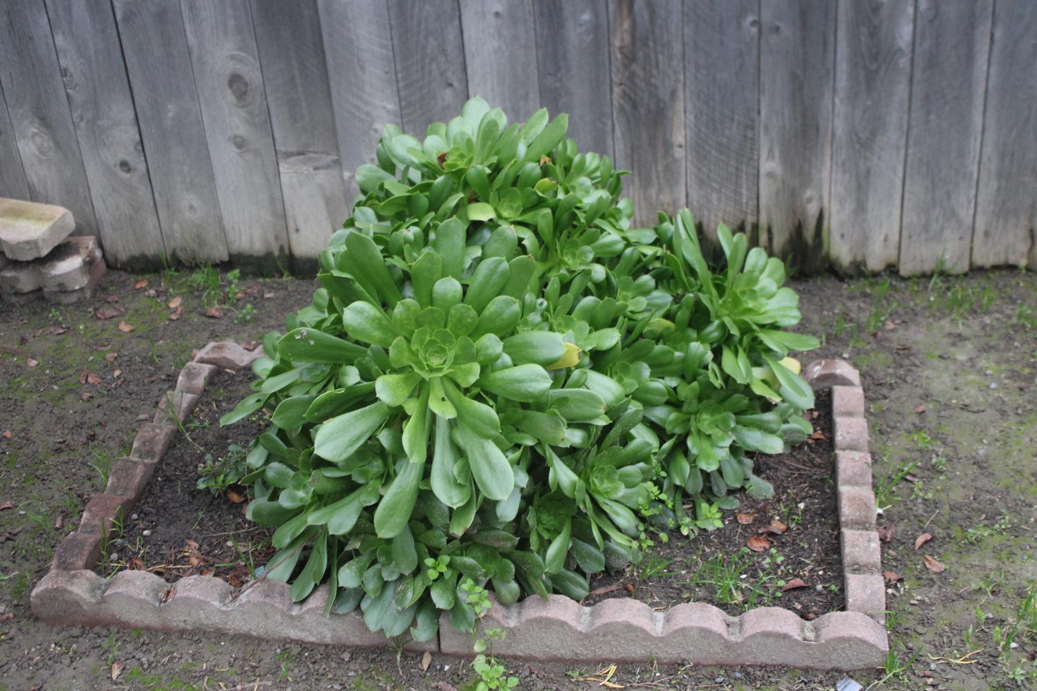 852 E Grangeville Blvd #83, Hanford, CA 93230