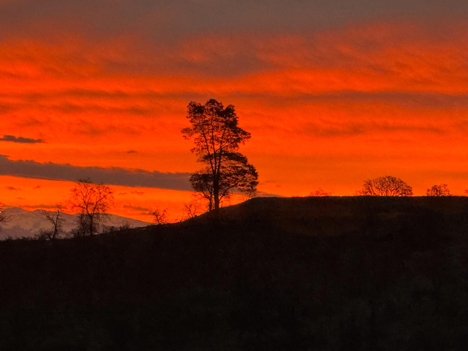 22113 Oak Glen Ln, Friant, CA 93626