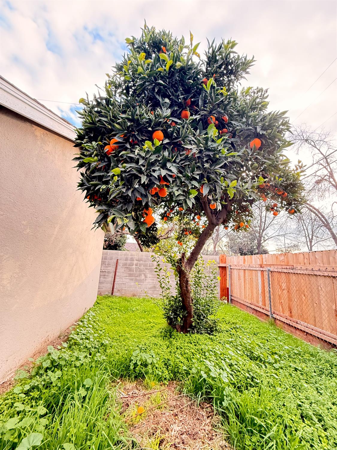 2338 Lotus Ave, Fresno, CA 93706