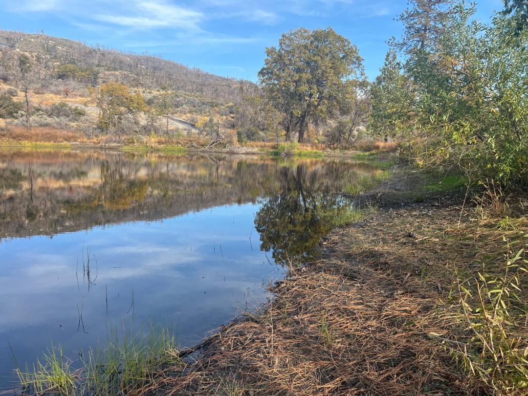 37987 Cripe Rd, Auberry, CA 93602