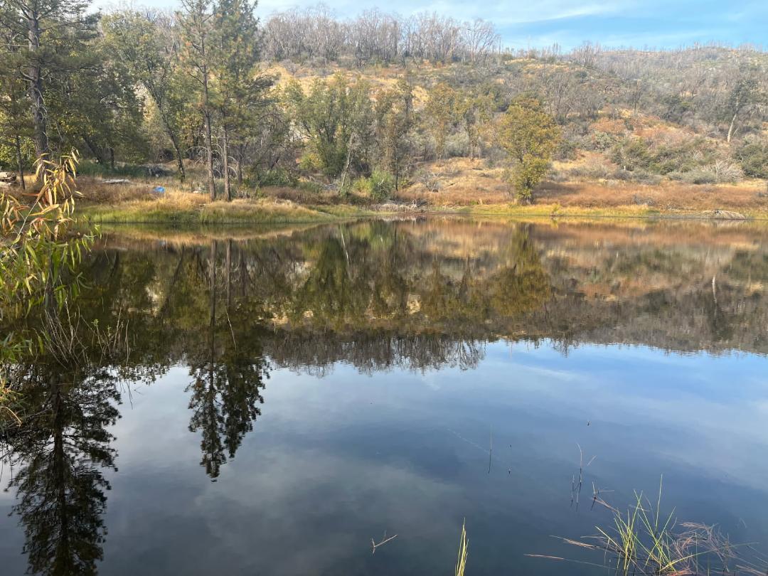 37987 Cripe Rd, Auberry, CA 93602