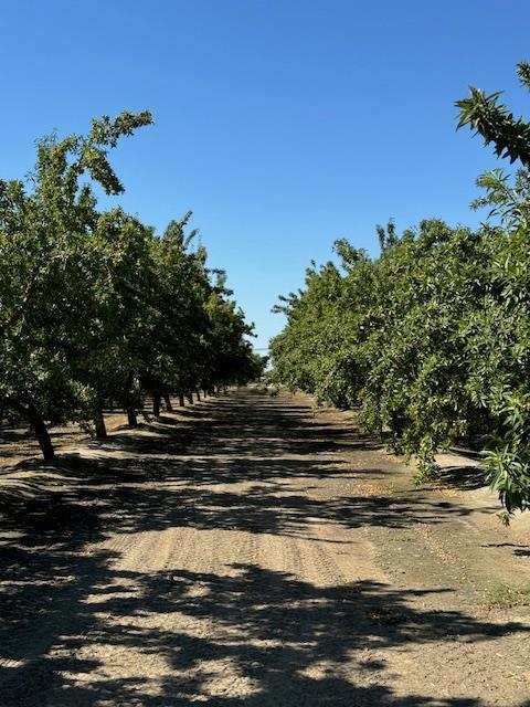 2202 W Lincoln Ave, Fresno, CA 93706