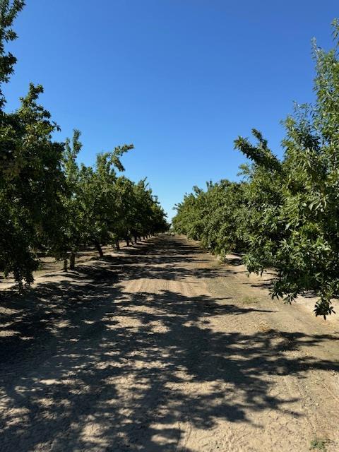 2202 W Lincoln Ave, Fresno, CA 93706