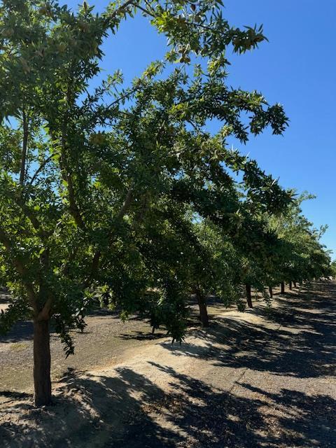 2202 W Lincoln Ave, Fresno, CA 93706