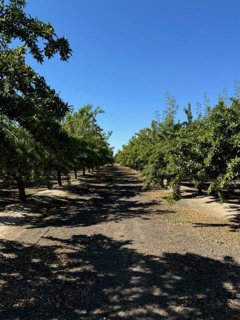 2202 W Lincoln Ave, Fresno, CA 93706