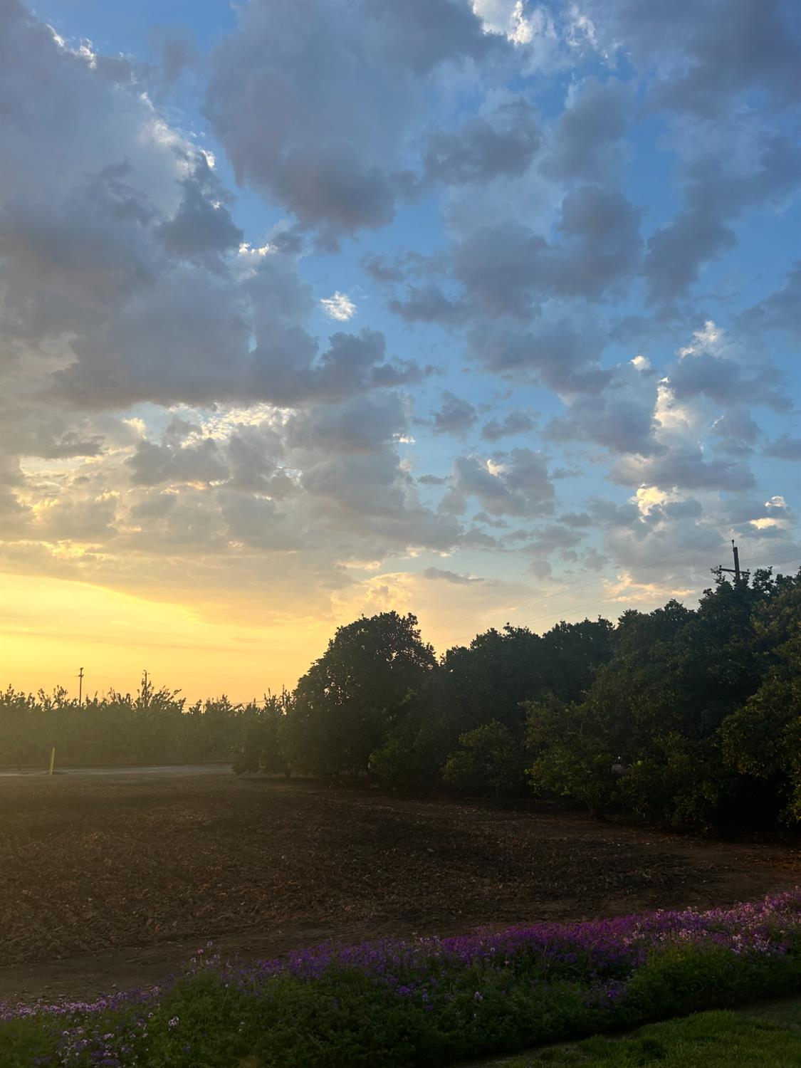 2202 W Lincoln Ave, Fresno, CA 93706