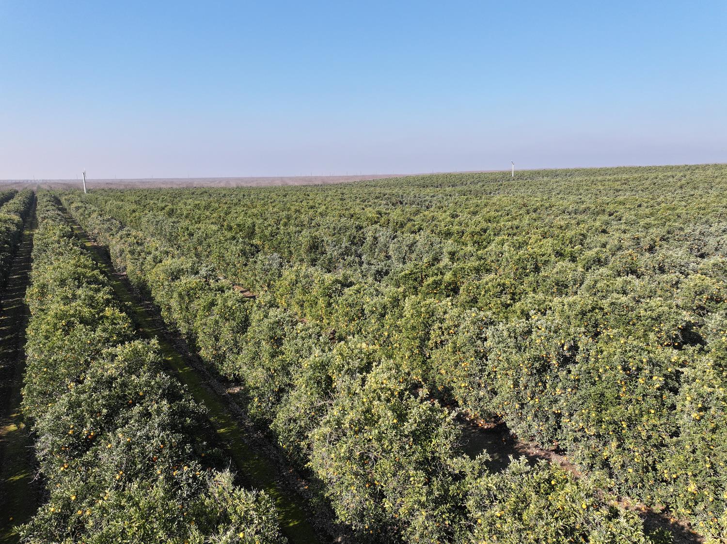 0 0 Quinn Road, Delano, CA 93215