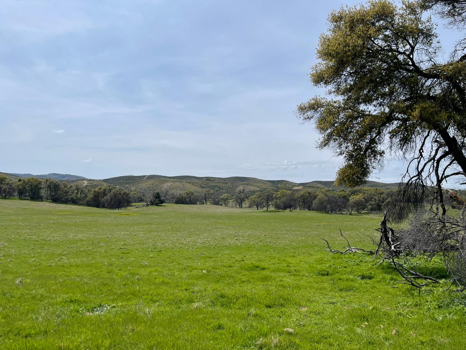 5877 State Hwy 49 North, Mariposa, CA 95338