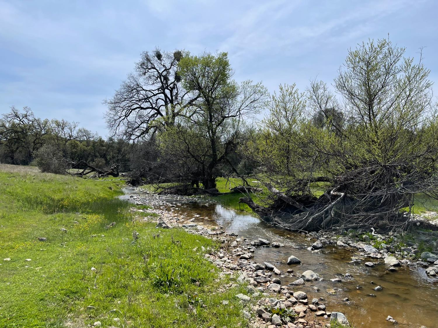 5877 State Hwy 49 North, Mariposa, CA 95338