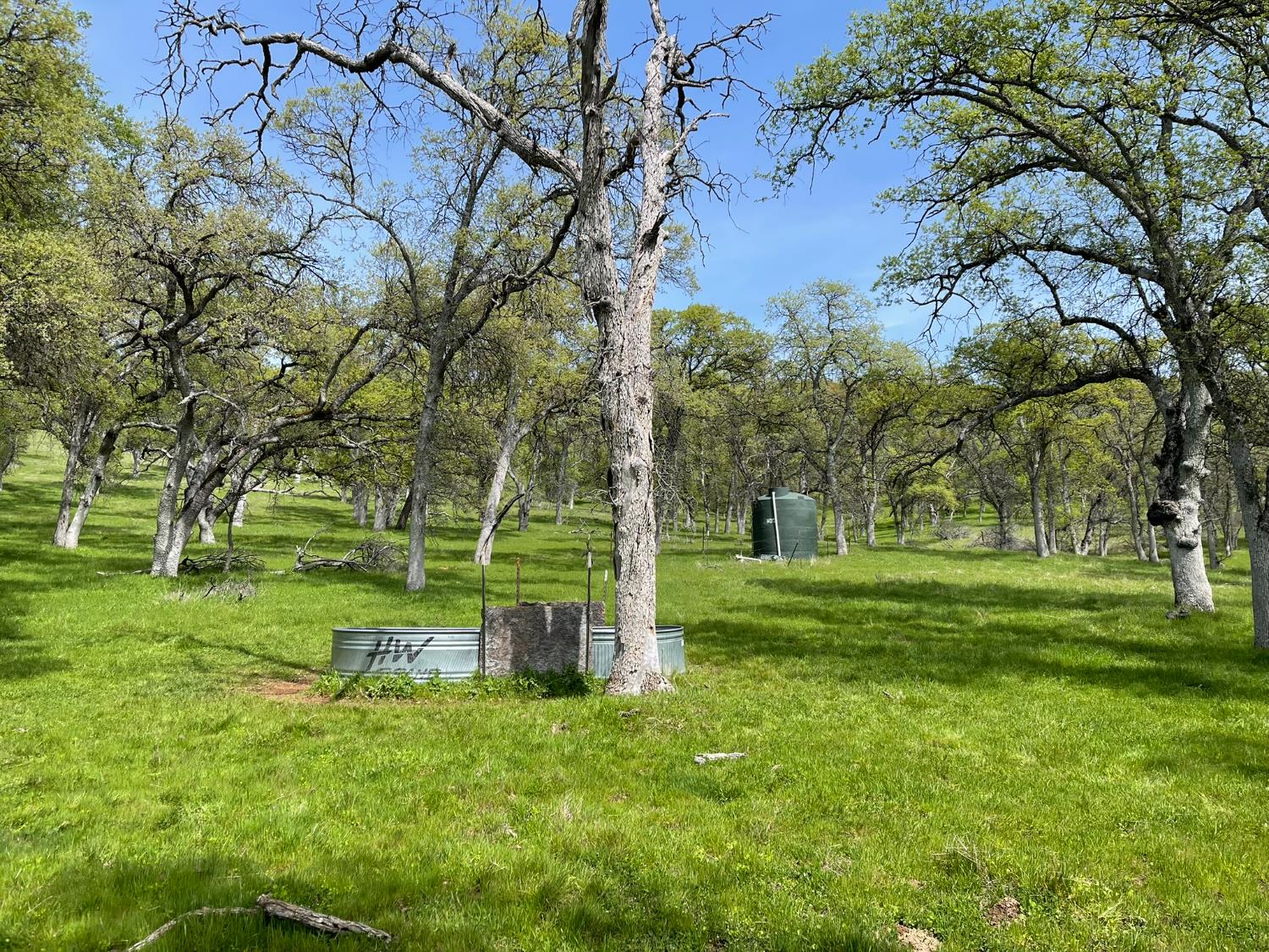 5877 State Hwy 49 North, Mariposa, CA 95338