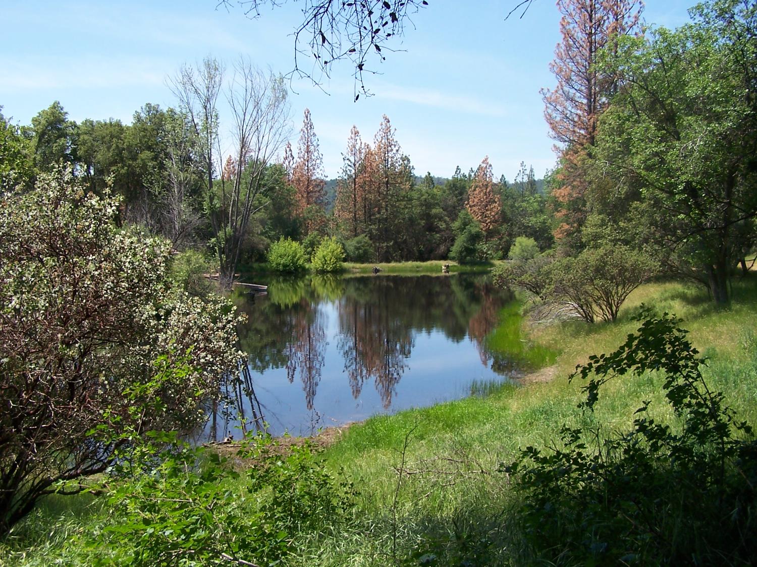 10 Rusty Ln, Oakhurst, CA 93644