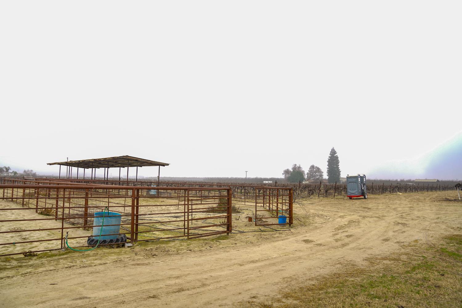 2104 W Magnolia Ave, Caruthers, CA 93609