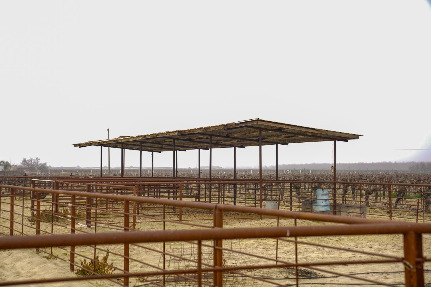 2104 W Magnolia Ave, Caruthers, CA 93609