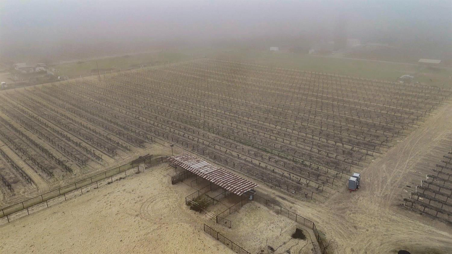 2104 W Magnolia Ave, Caruthers, CA 93609