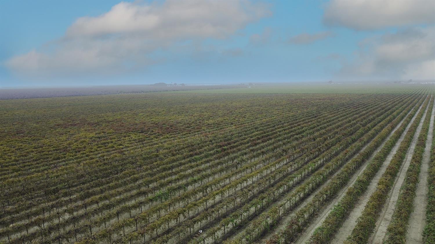 15765 Dickenson Ave, Riverdale, CA 93656