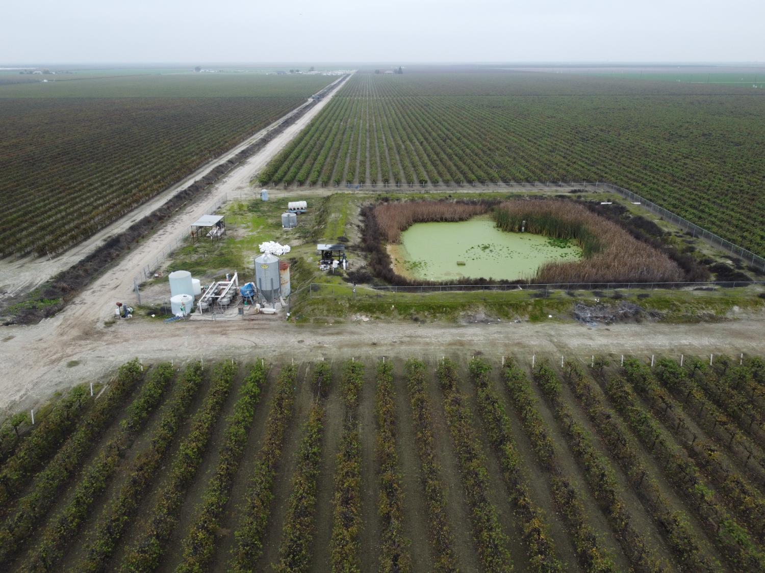 15765 Dickenson Ave, Riverdale, CA 93656