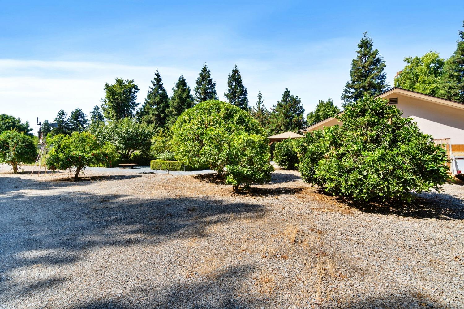 10595 E San Felipe Ave, Clovis, CA 93619