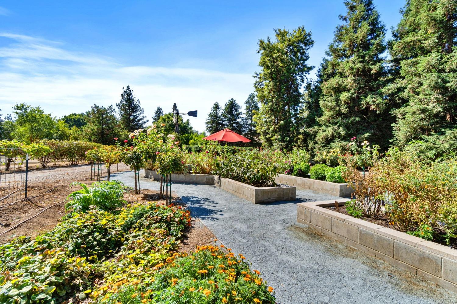 10595 E San Felipe Ave, Clovis, CA 93619