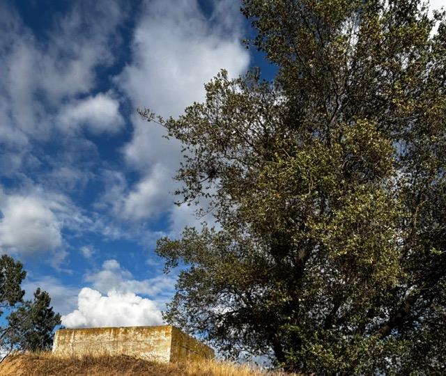 4 03AC Powder Horn Way, Coarsegold, CA 93614