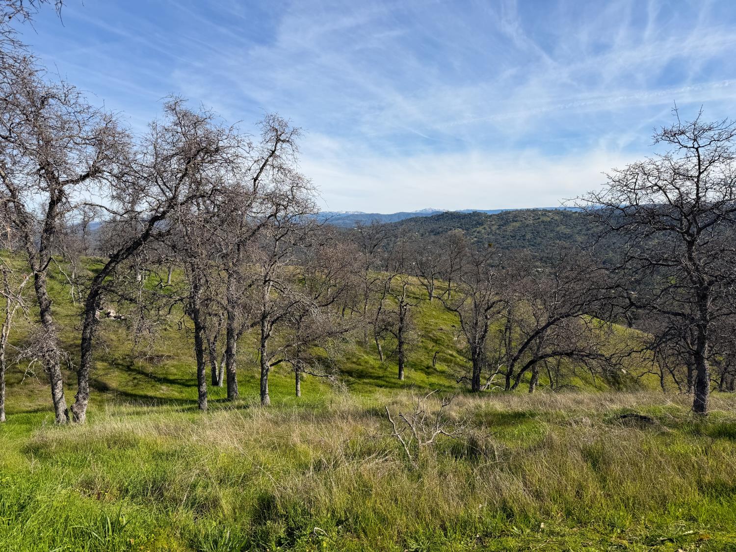 42158 John Muir Dr, Coarsegold, CA 93614
